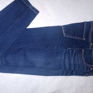 American Eagle Outfitters Dark Blue Skinny Jeans
